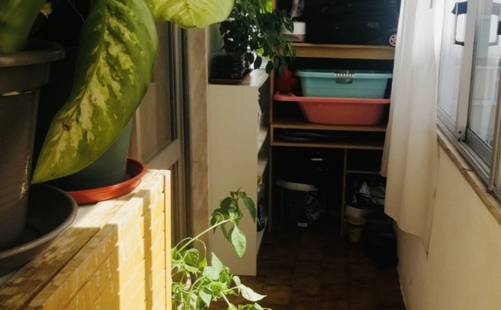 2022-08-18 21.35.24_4