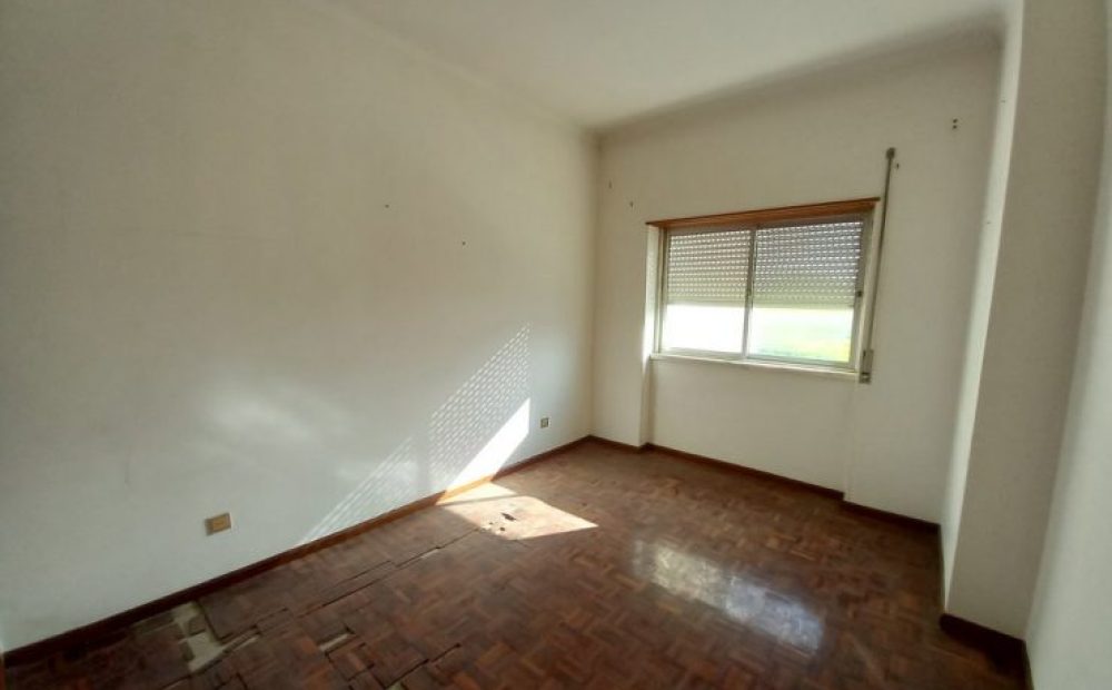 20220105_131051_1024x768-740x530