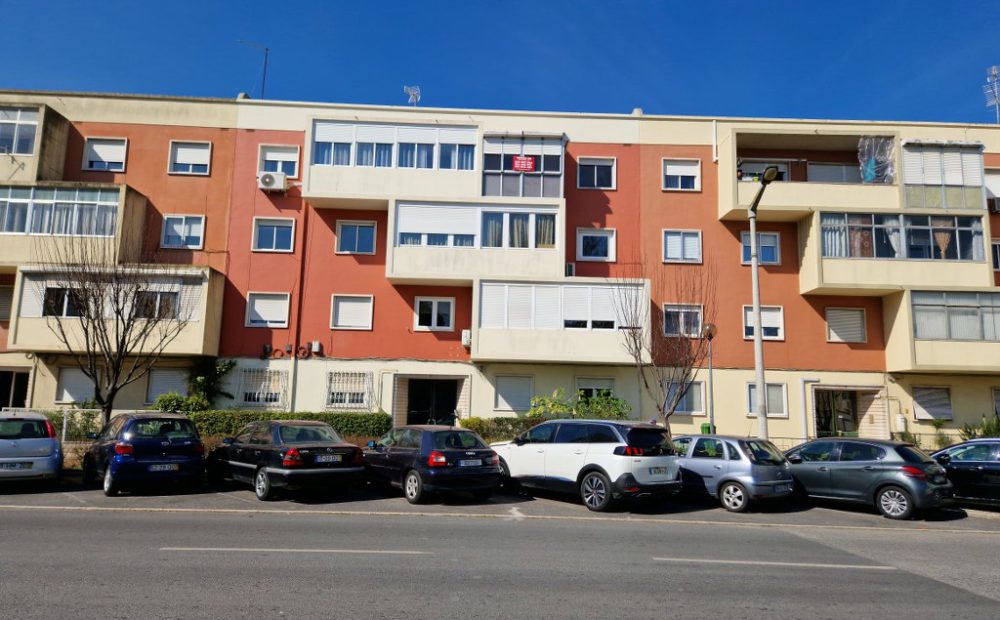 20230303_113304_1024x768